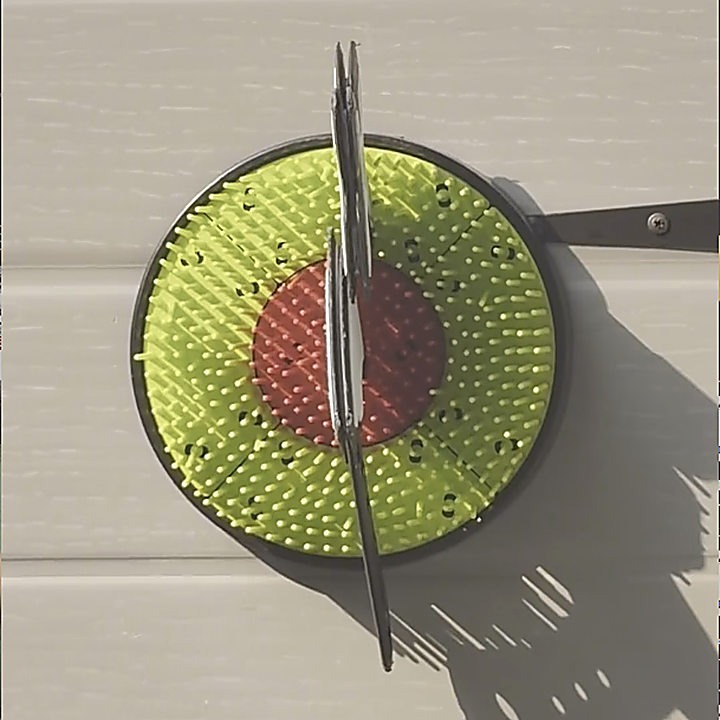BristleThrow